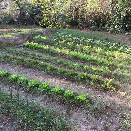 Umbria In Bike B&B 福利尼奥 外观 照片
