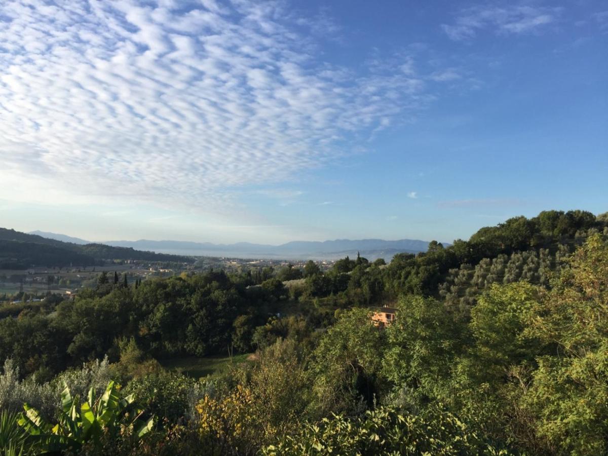 Umbria In Bike B&B 福利尼奥 外观 照片