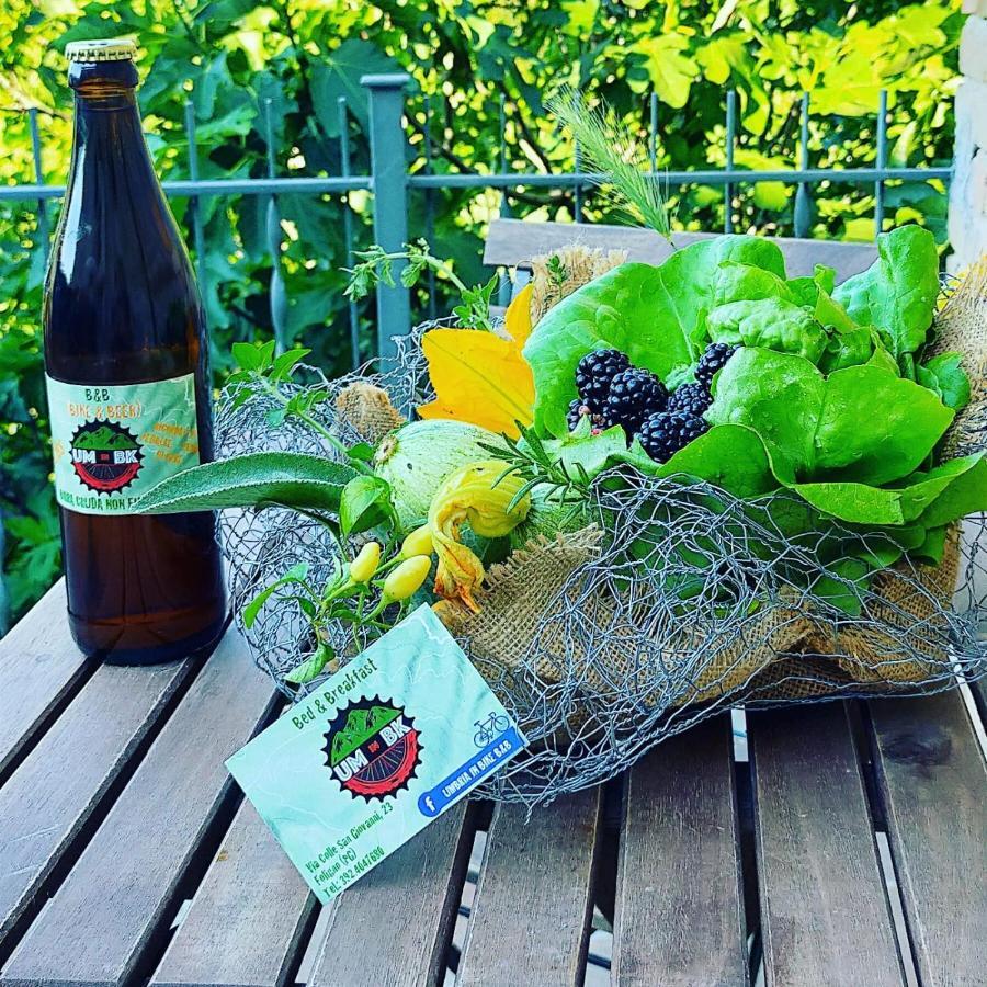 Umbria In Bike B&B 福利尼奥 外观 照片