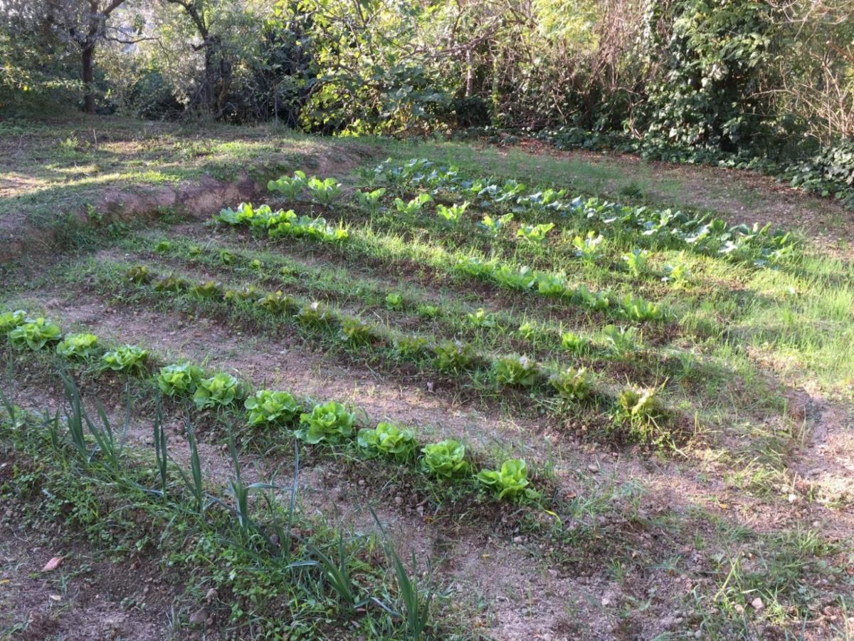 Umbria In Bike B&B 福利尼奥 外观 照片