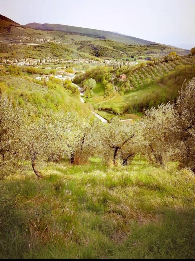 Umbria In Bike B&B 福利尼奥 外观 照片